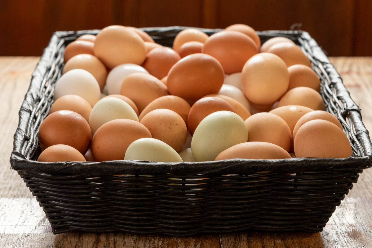 A large wicker basket full of eggs