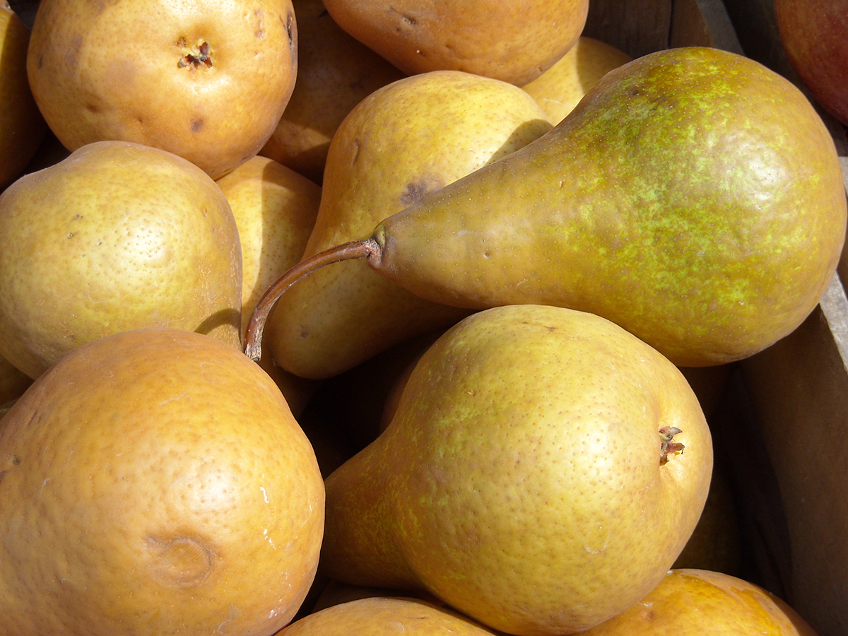 Organic pears